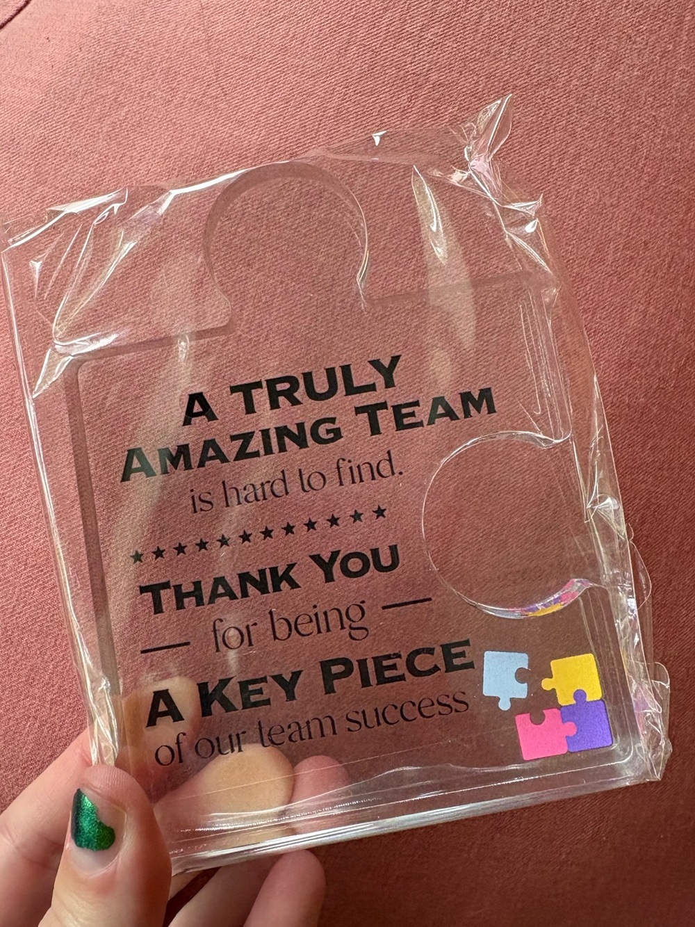 NIB Acrylic Puzzle Piece Desk Ornament Office Gift
